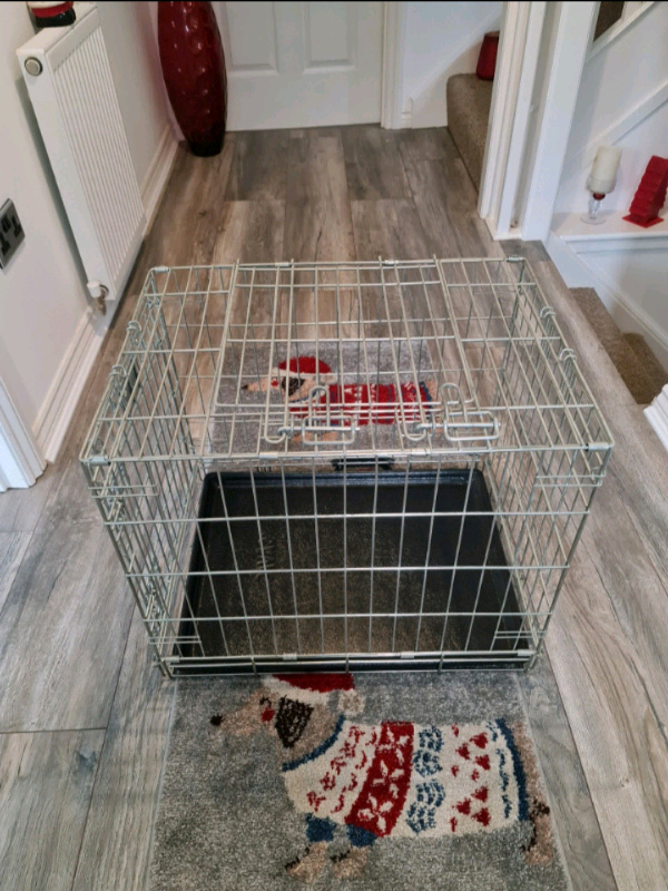 savic medium dog crate